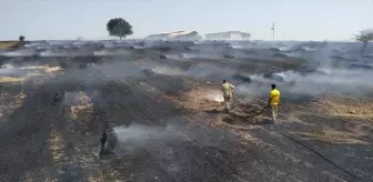 Çanakkale'nin Biga ilçesinde çıkan yangında 30 dönüm ekili arazi zarar gördü