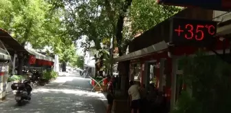 Darıca'da Sıcak Hava Nedeniyle Cadde ve Sokaklar Boş Kaldı