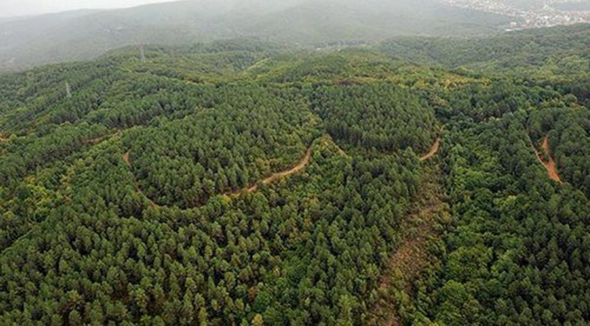 Erkmen Tabiat Parkı ile Akdağ Tabiat Parkı'nda piknik, nargile yasak mı? Erkmen Tabiat Parkı ile Akdağ Tabiat Parkı kapalı mı?