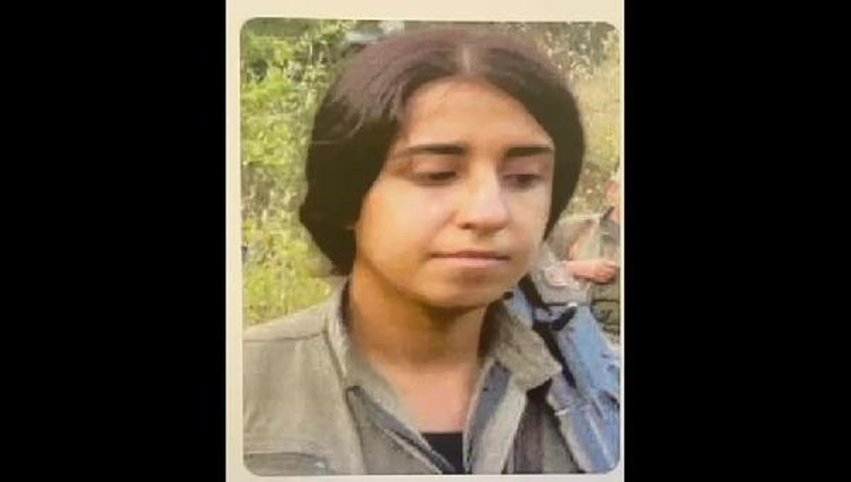 İstanbul'da PKK/KCK Terör Örgütü Mensupları Yakalandı