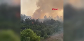 Beykoz'da Orman Yangınları Kontrol Altına Alındı