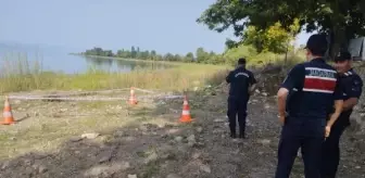 İznik Gölü'nde El Bombası Bulundu