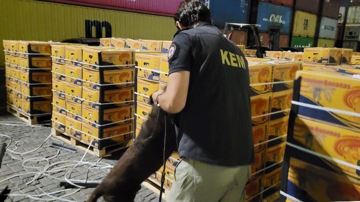 Mersin Limanı'nda muz yüklü konteynerden 11 kilogram uyuşturucu çıktı