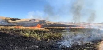 Sivas'ta 30 Dönüm Buğday Tarlası Yangında Zarar Gördü