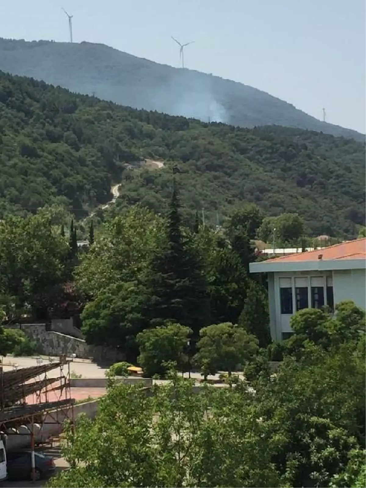 Yalova'da çıkan orman yangını kontrol altına alındı