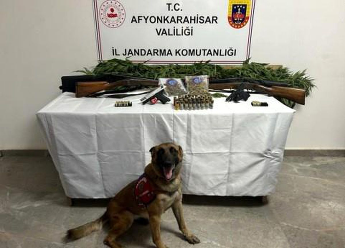 Afyonkarahisar'da Evlerinin Bahçesine Kenevir Eken Şüpheliler Yakalandı