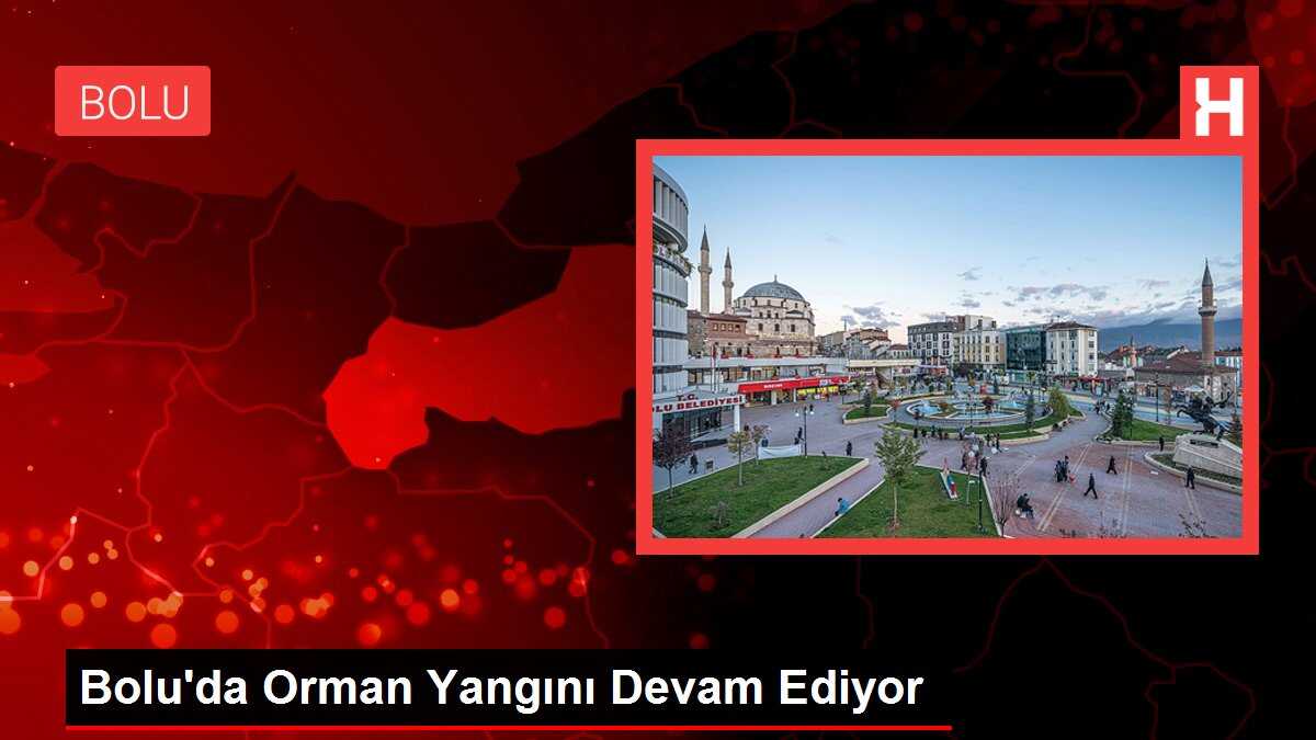 Bolu'da Orman Yangını Devam Ediyor