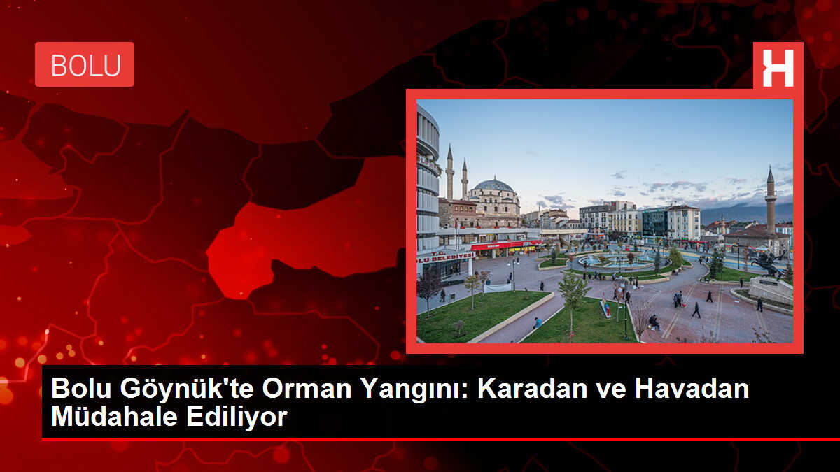 Bolu Göynük'te Orman Yangını: Karadan ve Havadan Müdahale Ediliyor