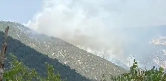 Bolu Göynük'te Yıldırım Düşmesi Sonucu Orman Yangını