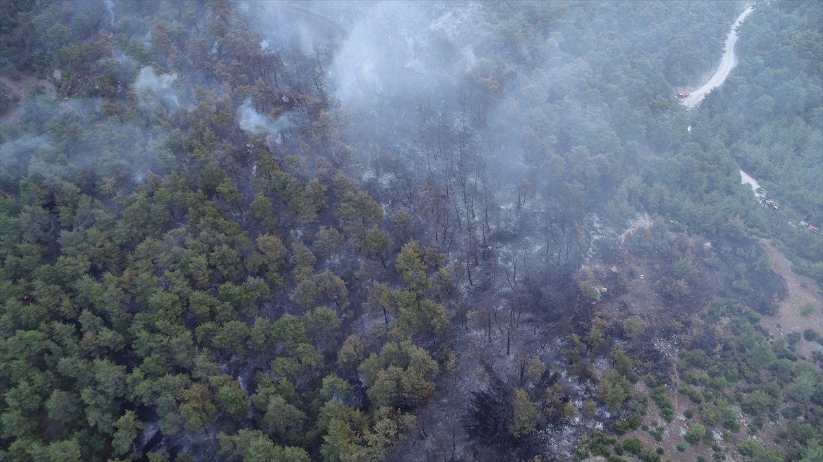 Çanakkale'deki Orman Yangını Dron ile Görüntülendi