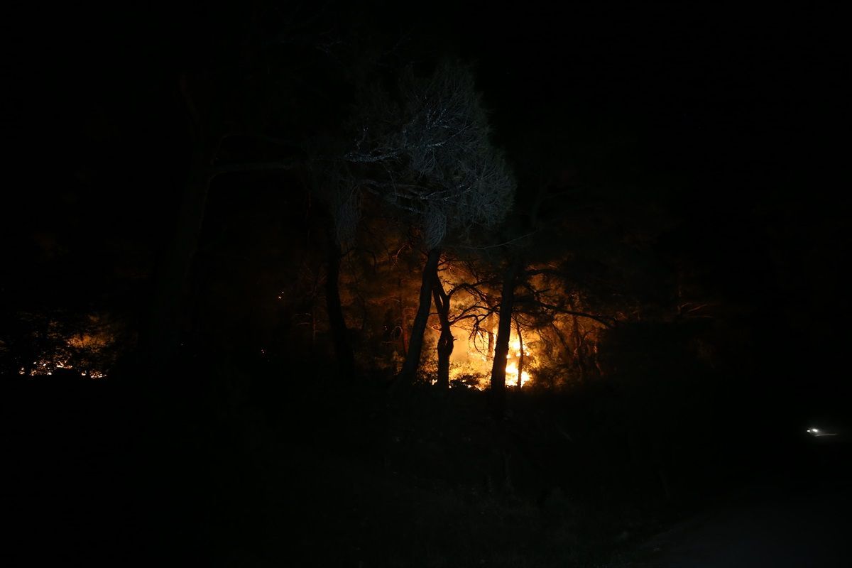 Çanakkale'de Orman Yangınına Müdahale Ediliyor