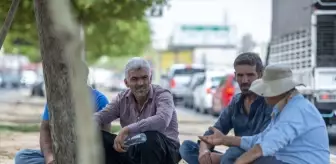 Irak'ın Erbil kentinde gündelik işçiler sıcak altında çalışıyor