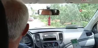 Evin mutfağındaki maymun böyle yakalandı