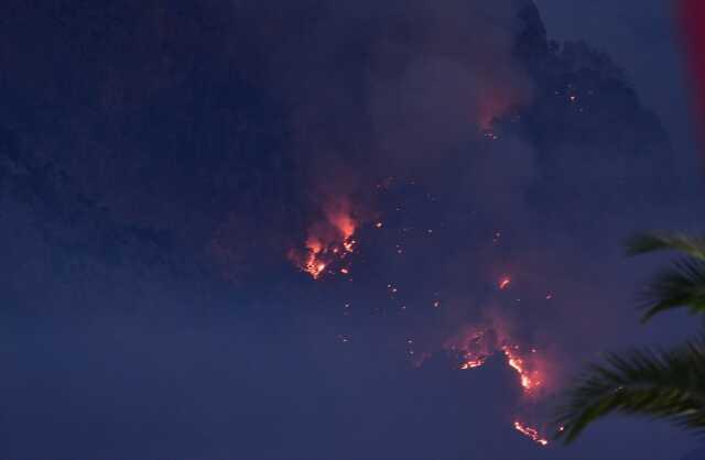 İzmir ve Antalya'da alevlerle mücadele sürüyor İzmir ve Antalya'da alevlerle mücadele sürüyor