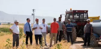 Selçuk Üniversitesi Ziraat Fakültesi'nde Buğday Hasadı Başladı