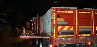 Kamyonun Açılan Dorse Kapağı Mehmet Seçkin'i Öldürdü