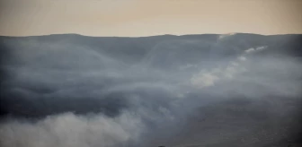 Suriye'nin kuzeybatısında orman yangınları devam ediyor