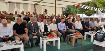 Antalya'da Eskihisar Köyü Domates Festivali Başladı