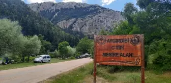 Bozkır Belediyesi Aygırdibi Mesire Alanına Su Üstü Kamelyalar Yerleştirdi