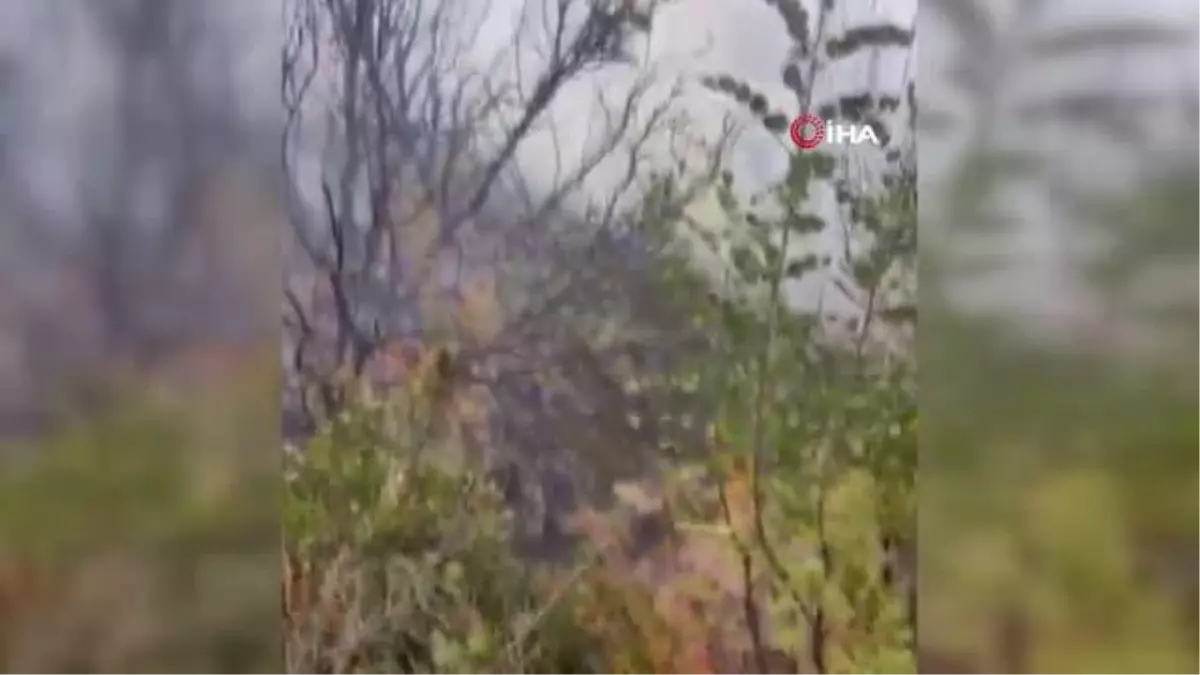 Burdur'da çıkan orman yangınında 1 hektar alan yandı