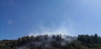 Bucak'ta Kızılçam Ormanında Yangın Çıktı