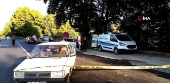 Bursa'da kaza yapan otomobil piknik yapan aileye çarptı: 1 ölü, 1 yaralı