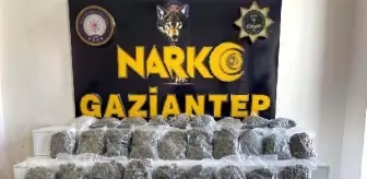 Gaziantep'te 18 Kilo Skunk Ele Geçirildi, 1 Kişi Gözaltına Alındı