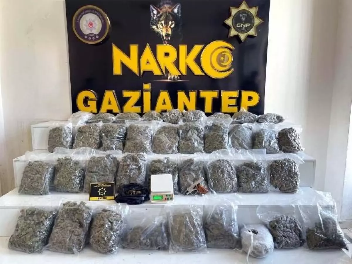 Gaziantep'te 18 Kilo Skunk Ele Geçirildi, 1 Kişi Gözaltına Alındı