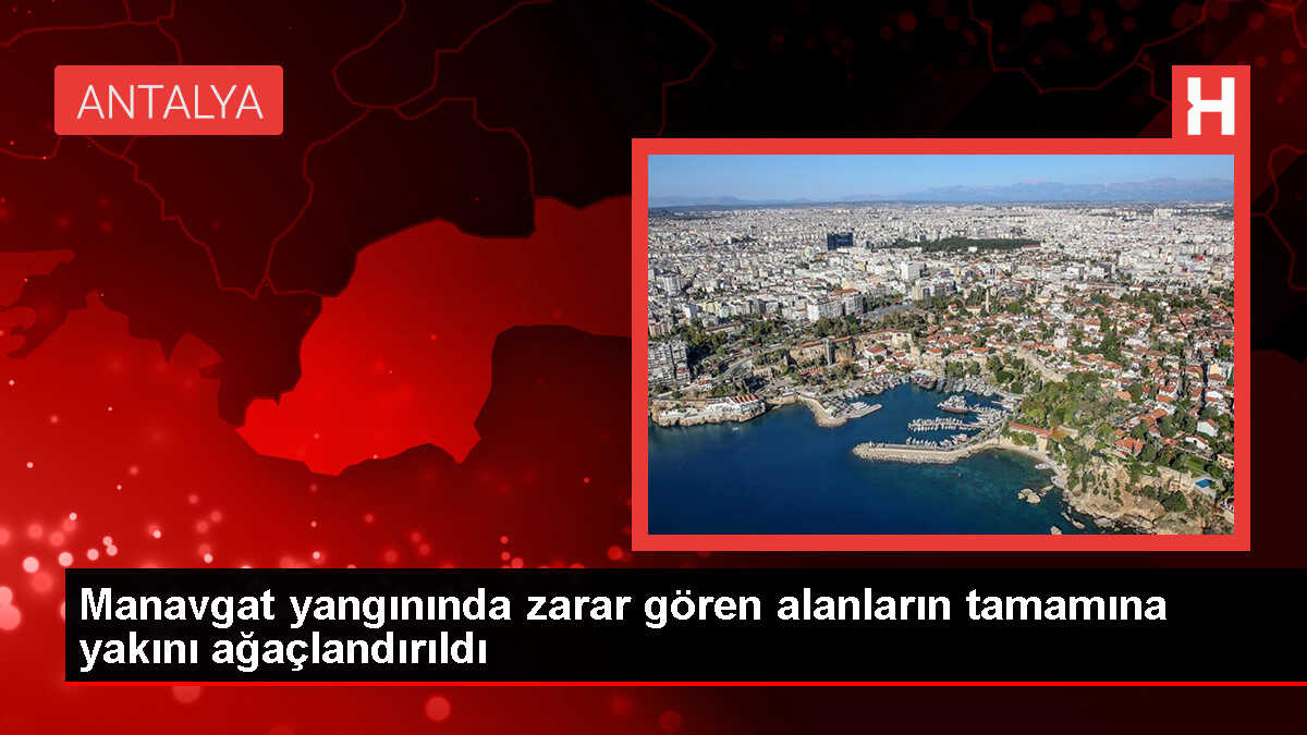 Manavgat Orman Yangınında Zarar Gören Alanların Tamamına Yakını Ağaçlandırıldı