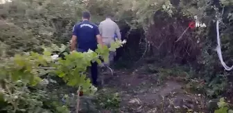 Mersin'de 24 kilo skunk ele geçirildi