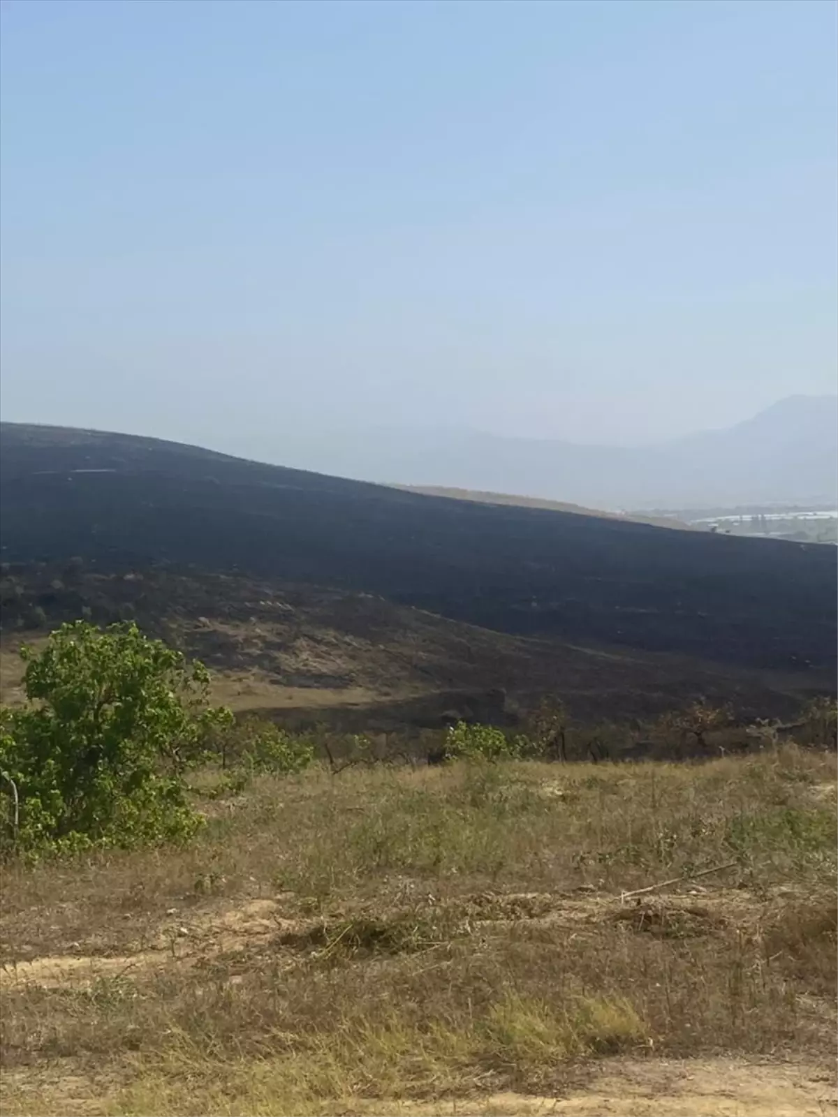Sarıgöl'de çıkan yangın kontrol altına alındı, bir kişi dumandan etkilendi