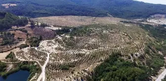 YK ENERJİ KAMUOYU AÇIKLAMASI