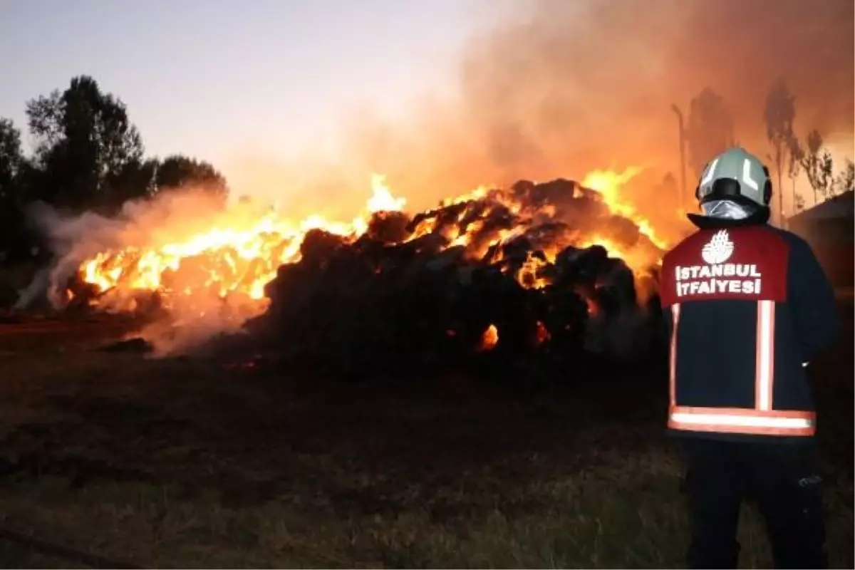 Yüksekova'da çıkan ot yangını söndürüldü