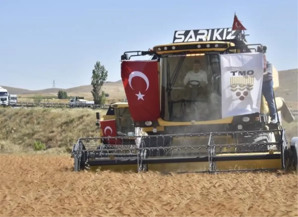 Tarım ve Orman Bakanı: Bu Yıl 1022 Orman Yangınında 6 Bin 900 Hektar Alan Zarar Gördü