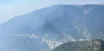 Bolu Göynük'teki Orman Yangını 68 Saat Sonra Kontrol Altına Alındı