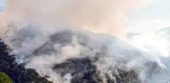 Bolu Göynük'te Yıldırım Düşmesi Sonucu Çıkan Orman Yangınına Müdahale Devam Ediyor