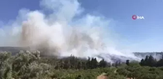 Çeşme'de orman yangını