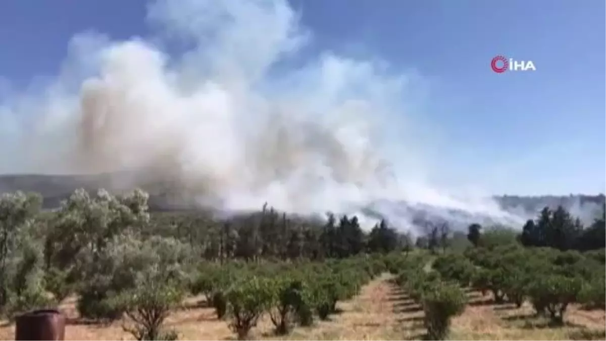 Çeşme'de orman yangını