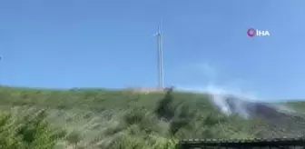 Didim'de makilik ve zeytinlik yangını korkuttu