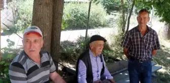 Bolu'da Esrarengiz Kazı Devam Ediyor
