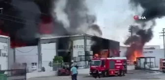 Geri dönüşüm tesisinde yangın