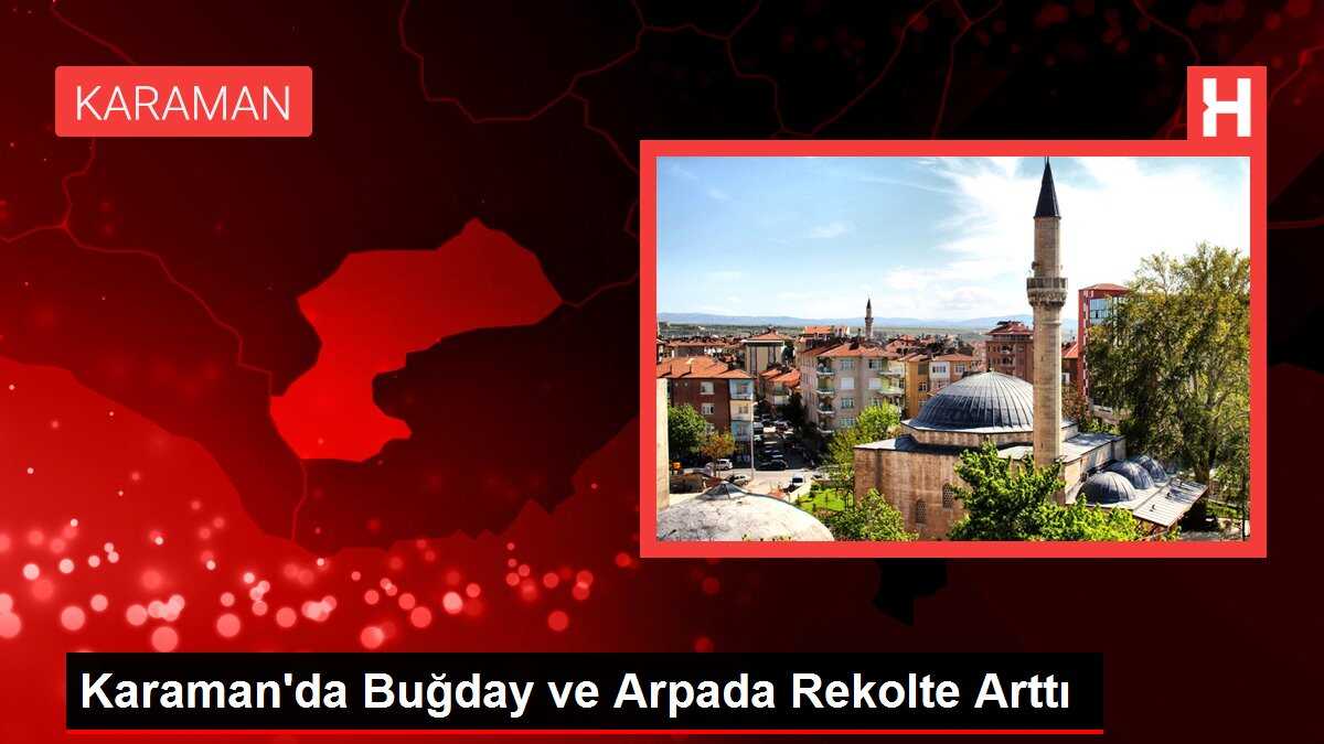 Karaman'da Buğday ve Arpada Rekolte Arttı