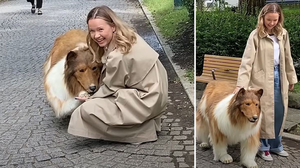 Köpek olmak için 403 bin TL harcayan adamın ilk kez sokağa gezdirilmeye çıkarıldığı anlar