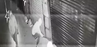 İstanbul'da Ev ve İşyeri Hırsızlığı Yapan Şebekeye Operasyon