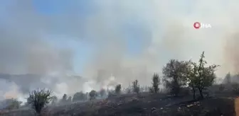 Manisa'da makilik alanda yangın