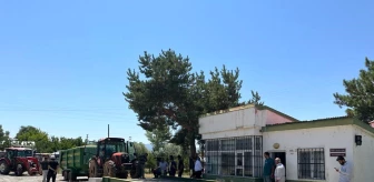 Erzincan'ın Tercan ilçesinde Toprak Mahsulleri Ofisi (TMO) Mercan Şubesi açıldı