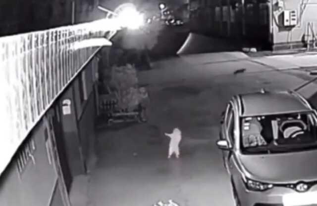 Dans eden kedi videosunun gerçek olduğu iddiası