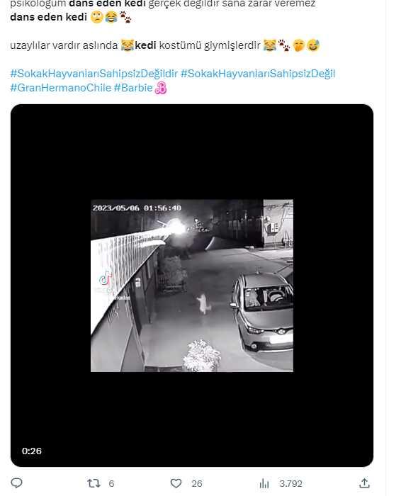 Dans eden kedi videosunun gerçek olduğu iddiası