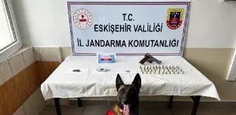 Eskişehir'de mezarlıkta kenevir ekimi yapan 2 şüpheli gözaltına alındı