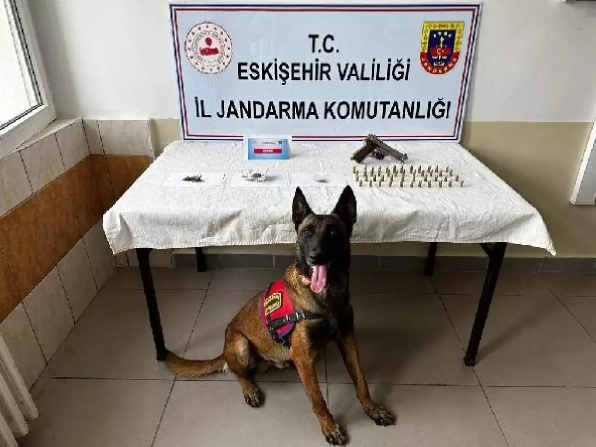 Eskişehir'de mezarlıkta kenevir ekimi yapan 2 şüpheli gözaltına alındı